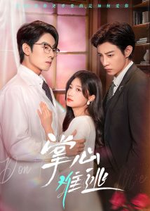 东京铁拳 封面图